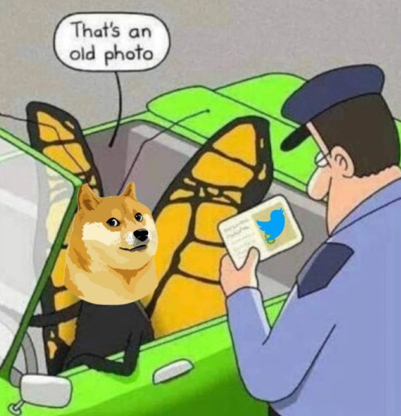 Elon Musk tweets a meme about Dogecoin and Twitter