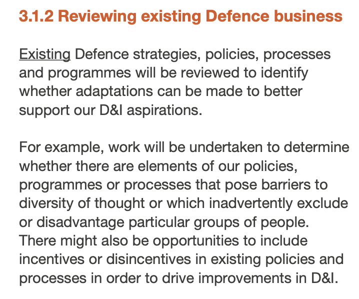 Caption: “Pages 20–21 – Reviewing policies and using positive action to drive diversity”